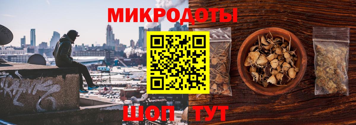 Псилоцибиновые грибы Psilocybe Киреевск